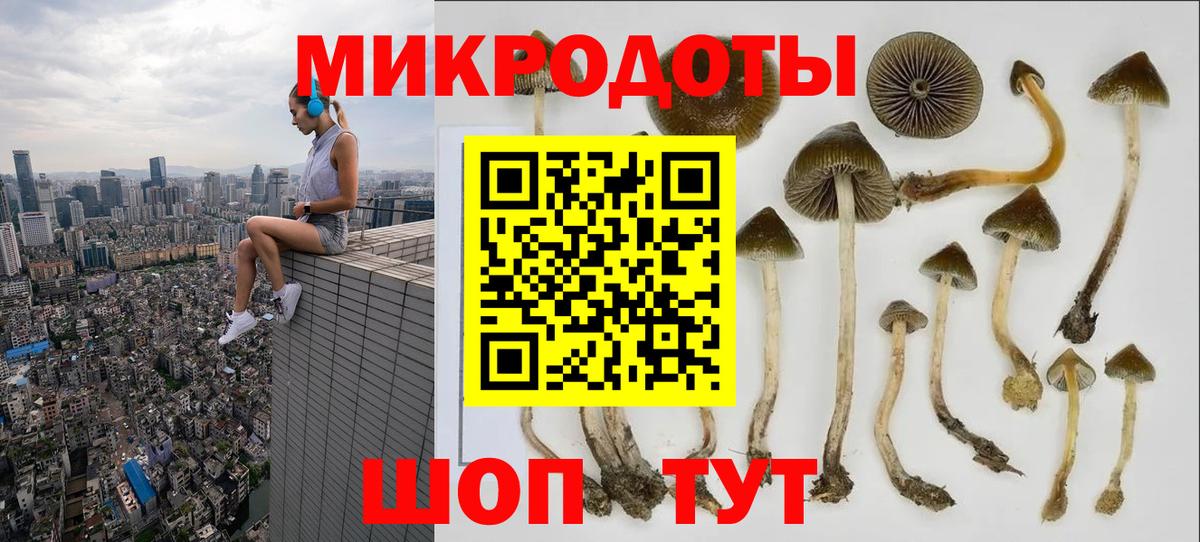 Псилоцибиновые грибы MAGIC MUSHROOMS Кондопога
