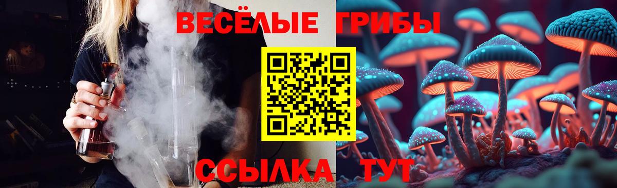 Кондопога  Псилоцибиновые грибы MAGIC MUSHROOMS  Вход с VPN 