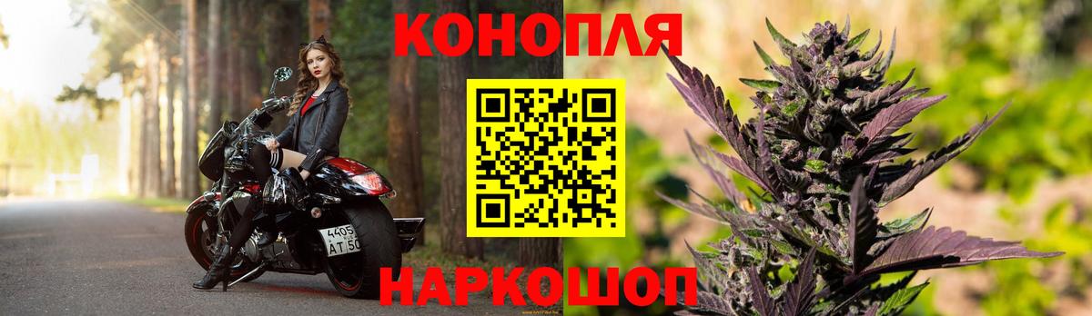 Бошки марихуана сатива  Бошки марихуана планчик  Шишки марихуана марихуана  Бошки марихуана сатива  Вход с VPN  Кондопога 
